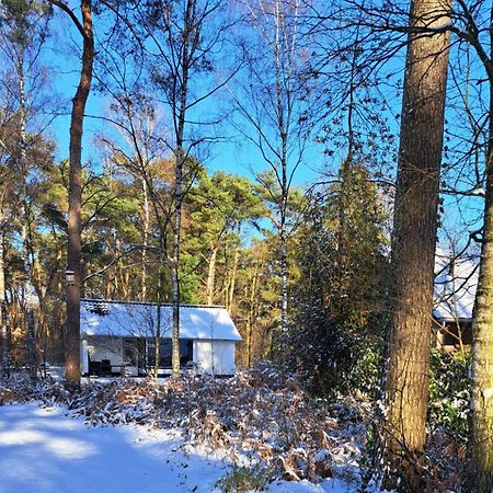 Bungalow, Vrijstaand, Het Vosseven Nr 38 Stramproy Екстериор снимка