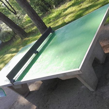 Bungalow, Vrijstaand, Het Vosseven Nr 38 Stramproy Екстериор снимка